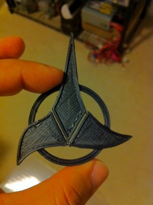 IMG_0261.JPG (1.71 MiB) Viewed 19828 times Klingon Insignia (3)