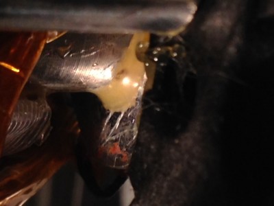 IMG_1493.JPG (64.43 KiB) Viewed 38704 times PLA accumulating around the nozzle base - for some reason the forum is rotating it 90 deg counter-clockwise.