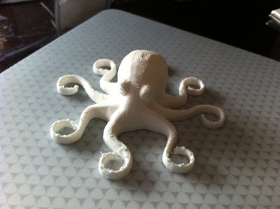 Octo off plate.JPG