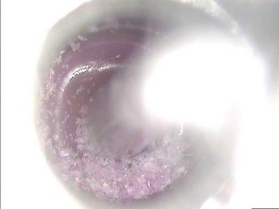 ImageFile885.JPG (27.29 KiB) Viewed 7804 times Purple inside Heat Sink 1