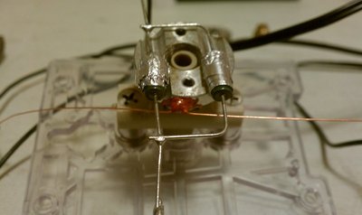 IMAG0488.jpg