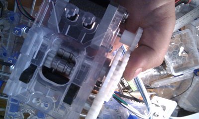 IMAG0497.jpg