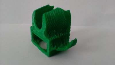 first print.jpg