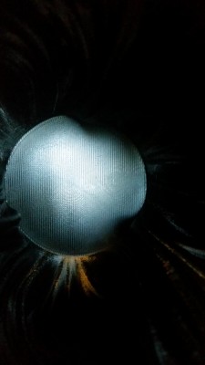 Inside Vase.jpg