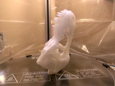 This is how I printed the upper skull, no supports :)
