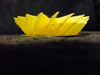 image.jpg (129.08 KiB) Viewed 4115 times Supposed to be the start of a vase!