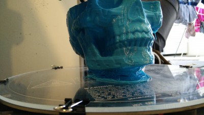 Skull print