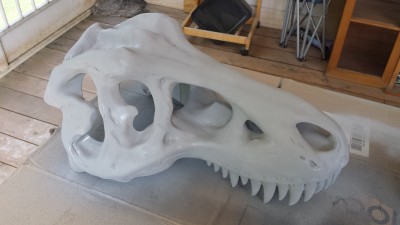 20150503_144348.jpg
