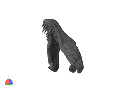 lower jaw.png